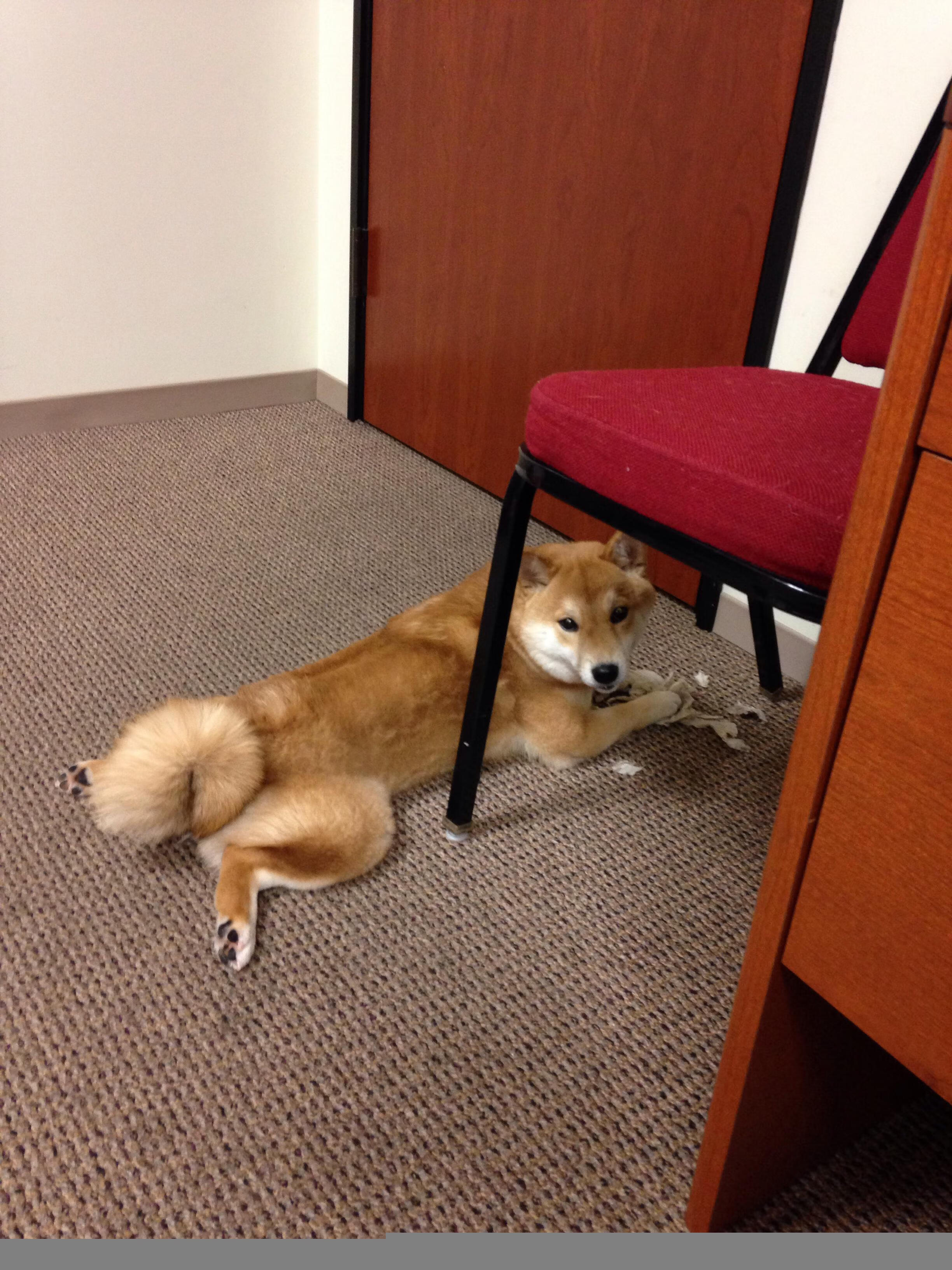 中超球员传球成功率排行,中超球员进球排行榜